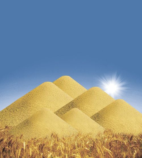 grain mountain harvest