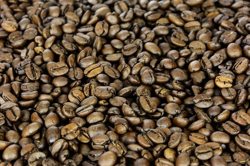 grain coffee  the background  seed