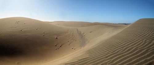dunes desert gran canaria