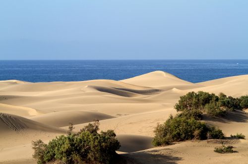 gran canaria maspalomas sand dunes