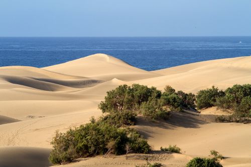 gran canaria sand dunes maspalomas