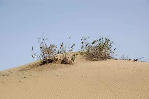 gran canaria spain island