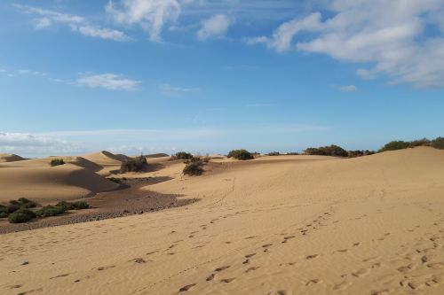 gran canaria maspalomas sand dunes