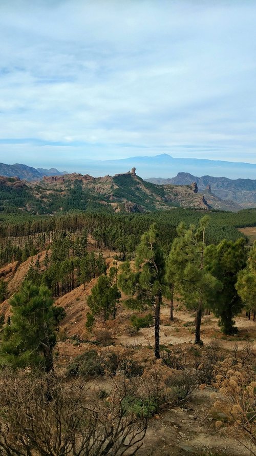 gran canaria  spain  sea