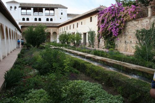 granada alhambra patio de aceqaia