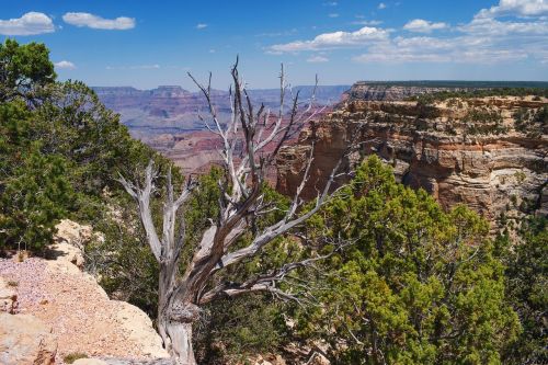 grand canyon landscape mountains