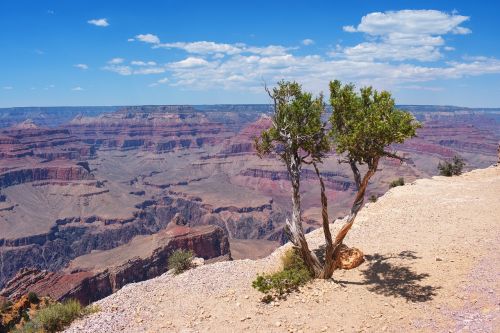 grand canyon landscape mountains