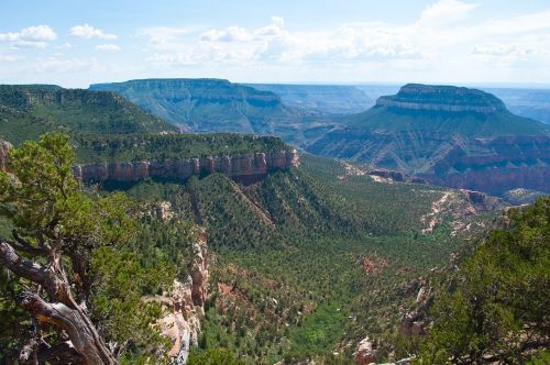 grand canyon rainbow rim trail wilderness