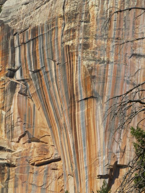 grand canyon north rim colorful rock face