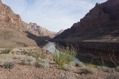 grand canyon  park  geology