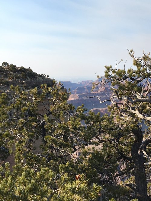 grand canyon  fall  arizona