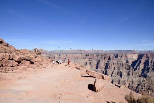 grand canyon  arizona  america