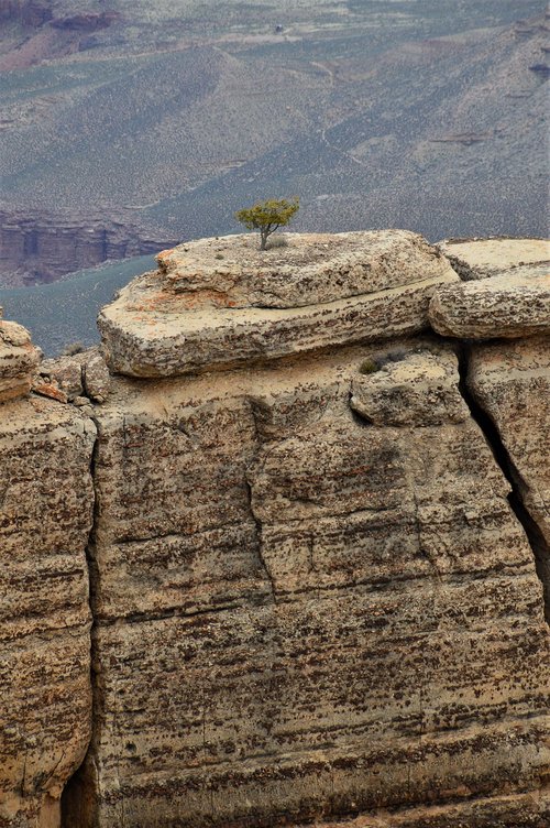 grand canyon  rocks  nature