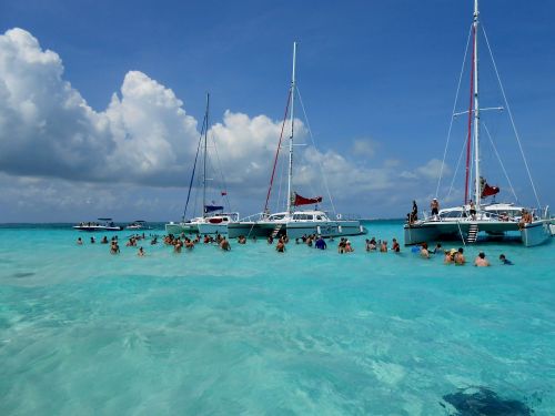 grand cayman cayman islands stingray city