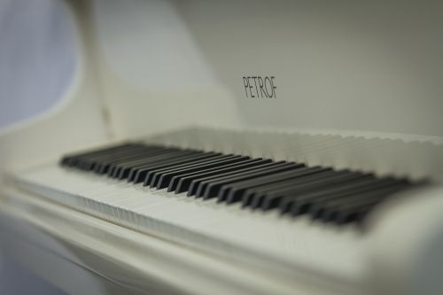 grand piano white klafishi