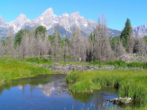 grand teton national park wyoming landmark