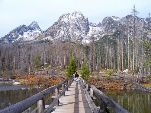 grand teton national park wyoming bridge