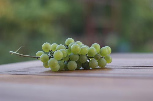grape fruit white