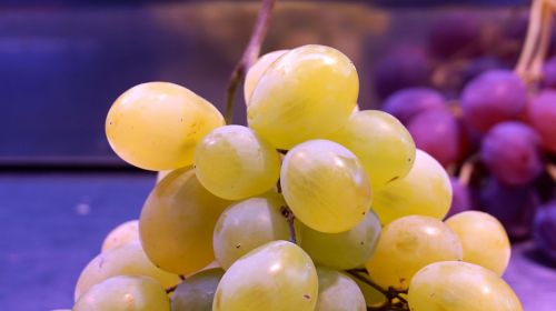 grape muscatel cluster