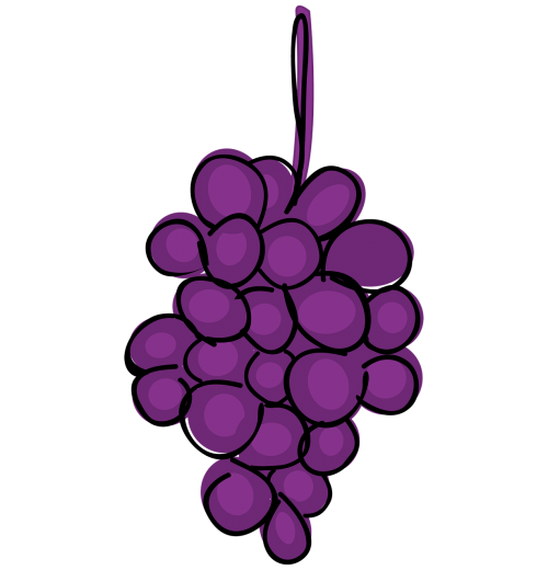 grape fruit cartoon