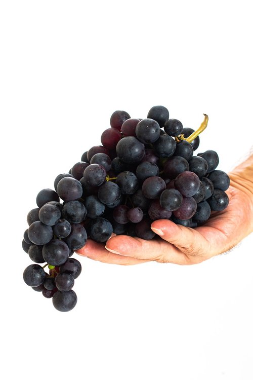 grape  fruit  food