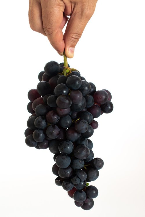 grape  fruit  food