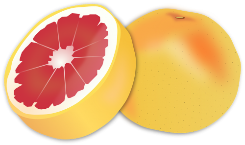 grapefruit citrus fruit citrus
