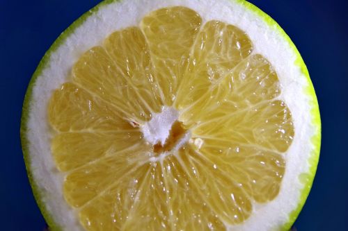 grapefruit fruit citrus