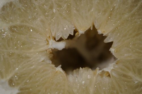 grapefruit inner cave