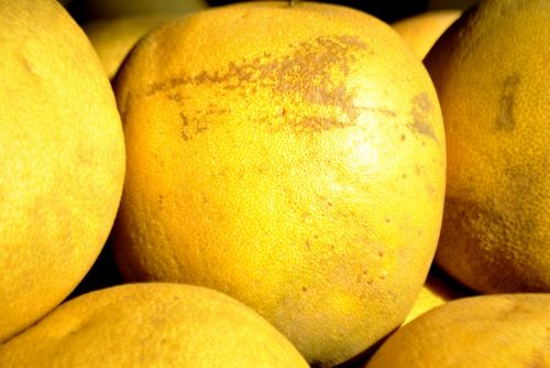grapefruit fruit yellow
