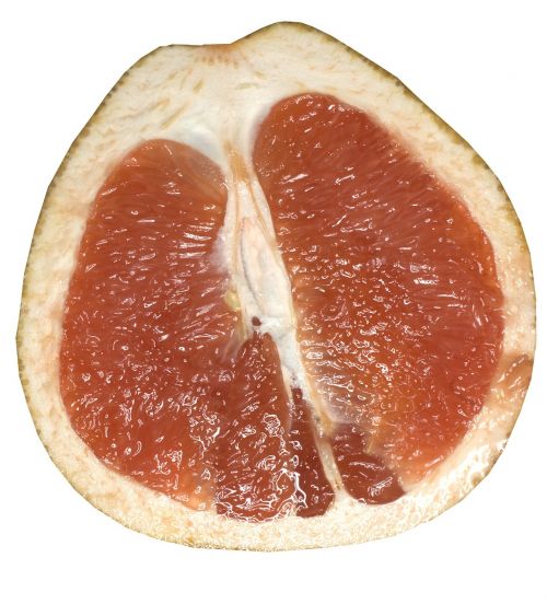 grapefruit fruit red