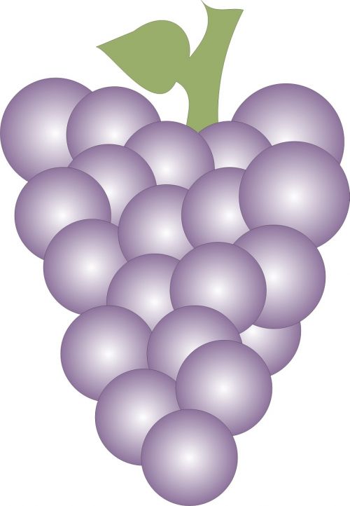 grapes fruit cluster