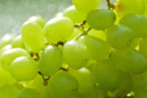 grapes fruits healthy