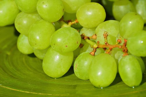 grapes fruits healthy