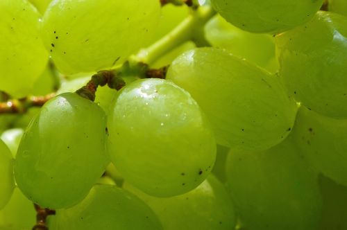 grapes fruits healthy