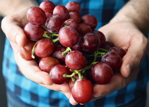 grapes hands holding palm