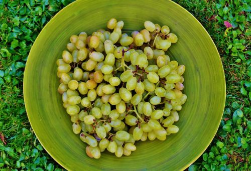 grapes plate fruit