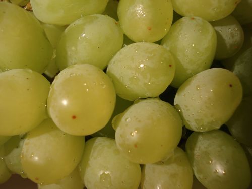 grapes fruit green