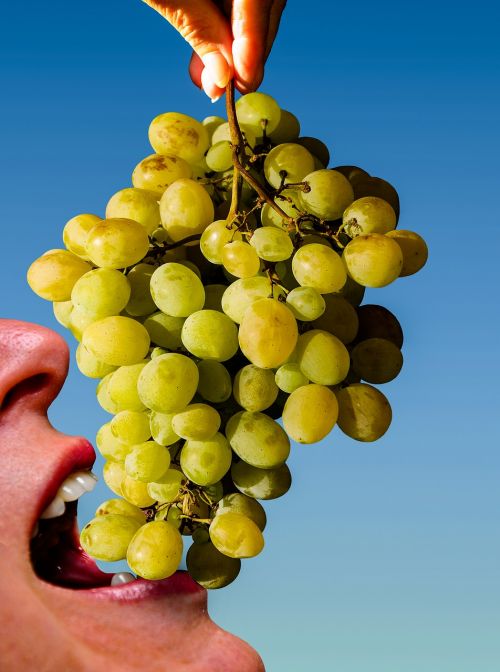 grapes eat fruit