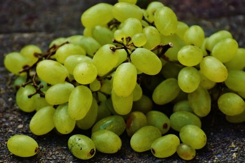 grapes fruit healthy