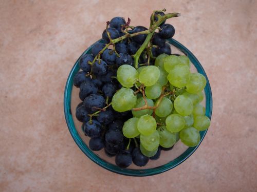 grapes red blue