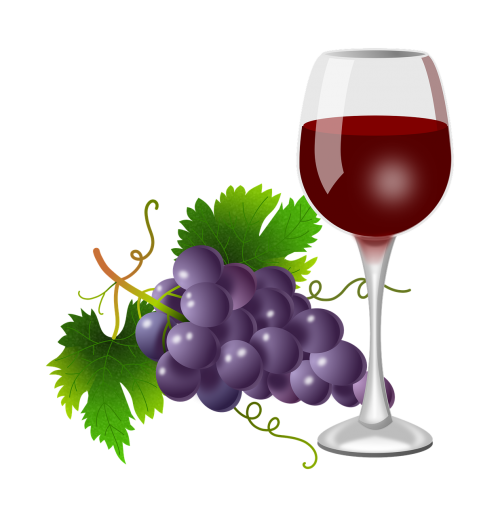grapes glass vine