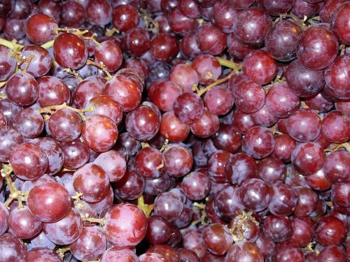 grapes purple fruit