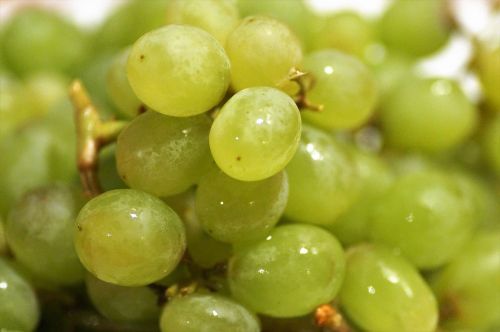 grapes fresh fruit