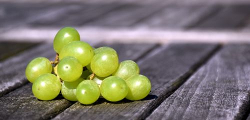 grapes wine vine