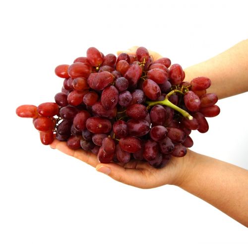 grapes in the hands of the grape hand