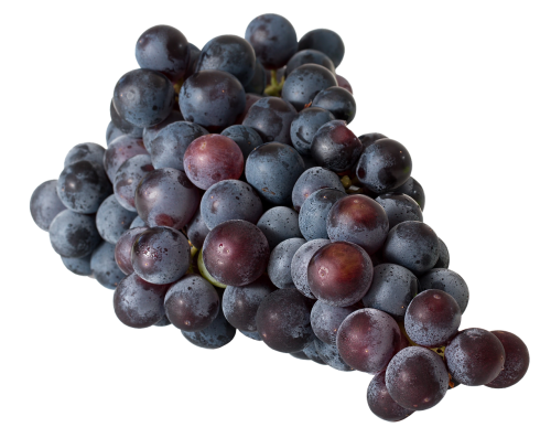 grapes red wine