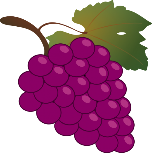 grapes bunch purple