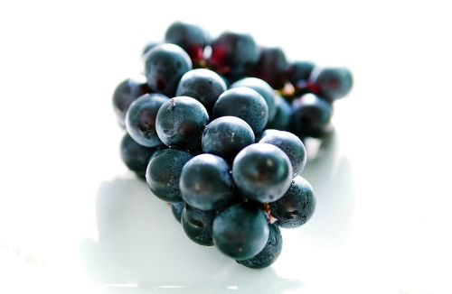 grapes blue cluster