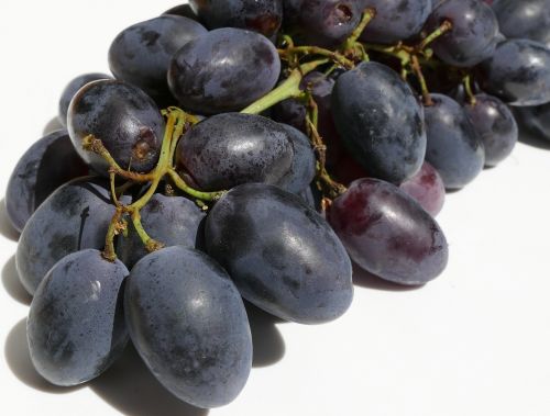 grapes wine berries panicle